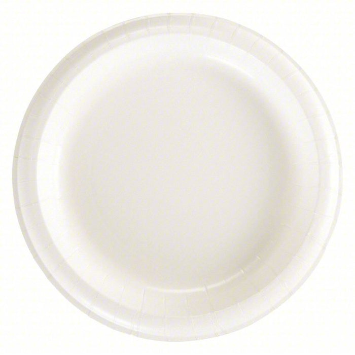 Disposable Paper Plate: White, Light-Wt, 8 1/2 in Disposable Plate Size, 500 PK