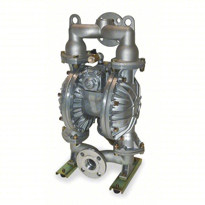 Double Diaphragm Pump: 2 in Inlet/Outlet Size, NPT Connection, 3/4 in FNPT Air Inlet Size