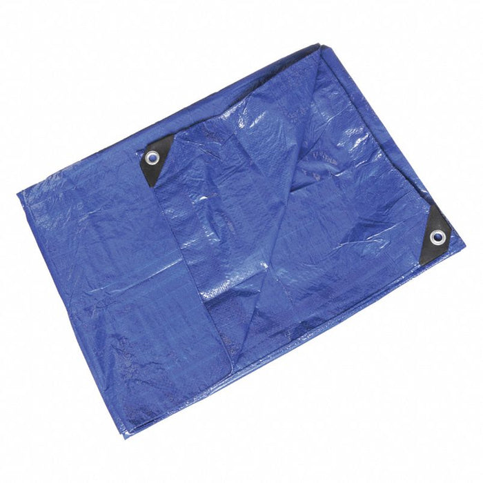 Tarp: Std Duty, 40 x 60 ft Cut Size, 38 ft 6 in x 59 ft Finished Size, Blue/Green