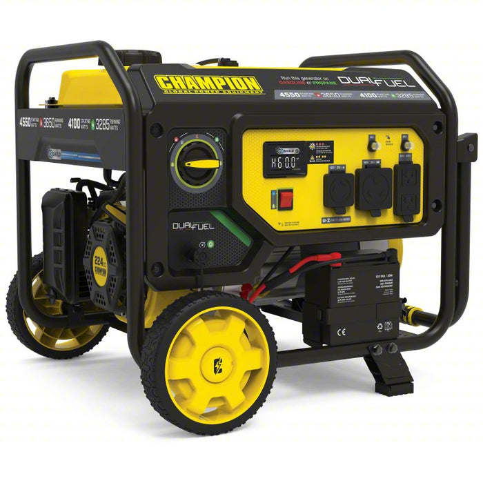 Portable Generator: Gasoline/Propane (LPG), 3,285 W/3,650 W, 4500 W, 120V
