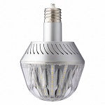 LED Bulb Mogul Screw (EX39) 5000K 75W