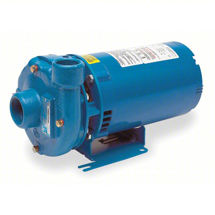 Centrifugal Pump: 1/3 hp, 115/230V AC, 52 ft Max Head, 1 1/4 in , 1 in Intake and Disch