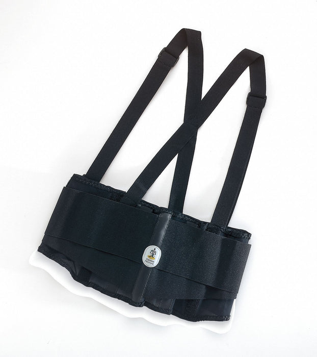 D0588 Back Support with Suspender L